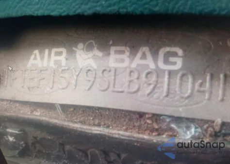 1995 Ford F150 from USA, damaged, VIN 1FTEF15Y9SLB91041